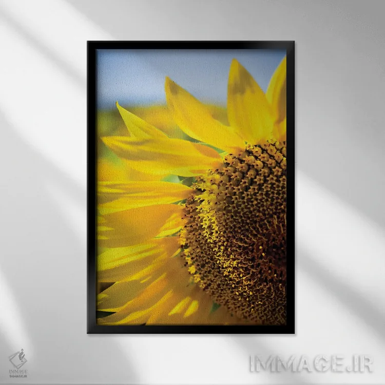 تابلو دکوراتیو آفتابگردان های خیال انگیز تابستانی IV اثر اولیویا جوی سنت کلر - نمای قابدار مشکی
