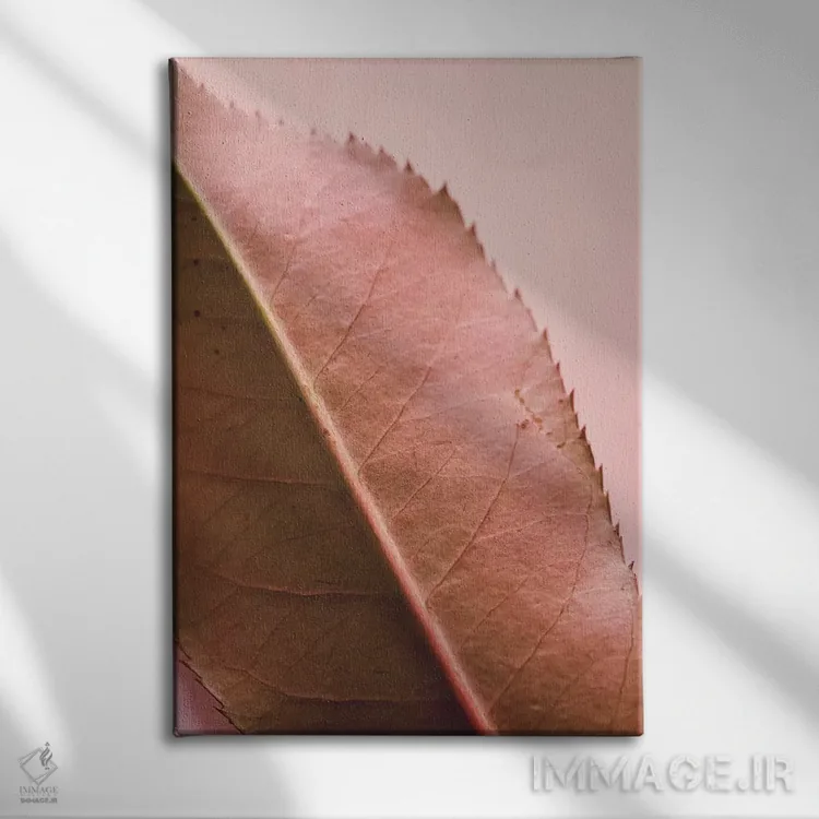 تابلو دکوراتیو برگ و شاخ II اثر اولیویا جوی سنت کلر - نمای روبهرو روی دیوار