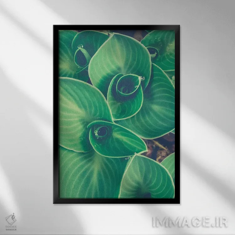 تابلو دکوراتیو برگ های نوظهور اثر اولیویا جوی سنت کلر - نمای قابدار مشکی