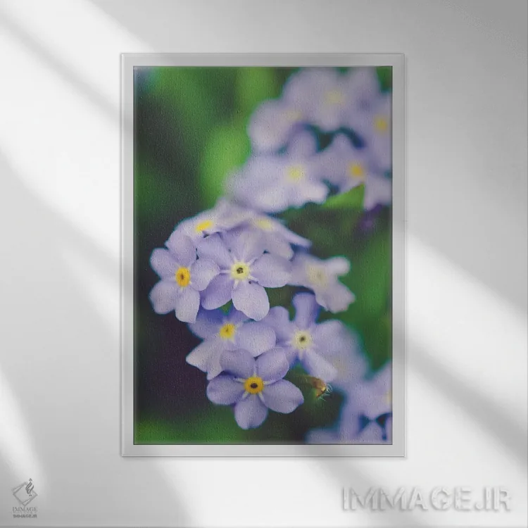 تابلو دکوراتیو زودگذر اثر اولیویا جوی سنت کلر - نمای قابدار سفید