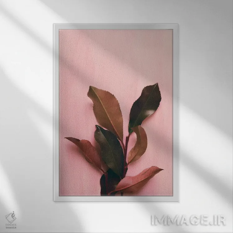 تابلو دکوراتیو برگ و شاخ I اثر اولیویا جوی سنت کلر - نمای قابدار سفید