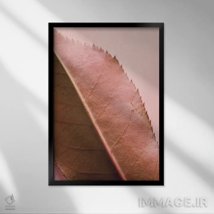 تابلو دکوراتیو برگ و شاخ II اثر اولیویا جوی سنت کلر - نمای قابدار مشکی