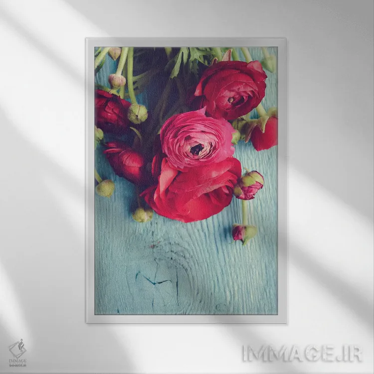 تابلو دکوراتیو گل اثر اولیویا جوی سنت کلر - نمای قابدار سفید