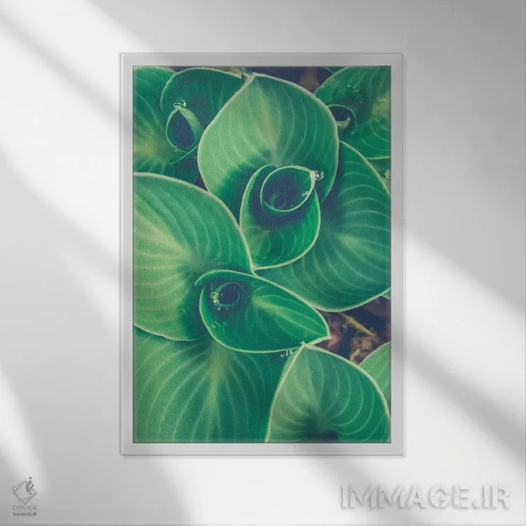 تابلو دکوراتیو برگ های نوظهور اثر اولیویا جوی سنت کلر - نمای قابدار سفید