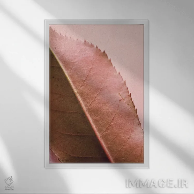 تابلو دکوراتیو برگ و شاخ II اثر اولیویا جوی سنت کلر - نمای قابدار سفید