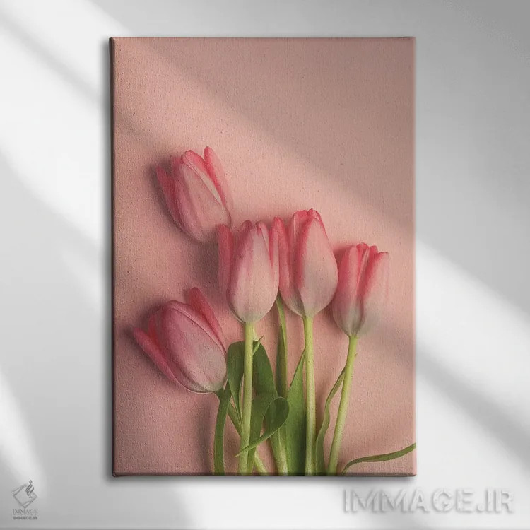 تابلو دکوراتیو لاله های صورتی روی زمینه صورتی اثر اولیویا جوی سنت کلر - نمای روبهرو روی دیوار