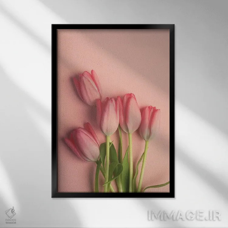 تابلو دکوراتیو لاله های صورتی روی زمینه صورتی اثر اولیویا جوی سنت کلر - نمای قابدار مشکی