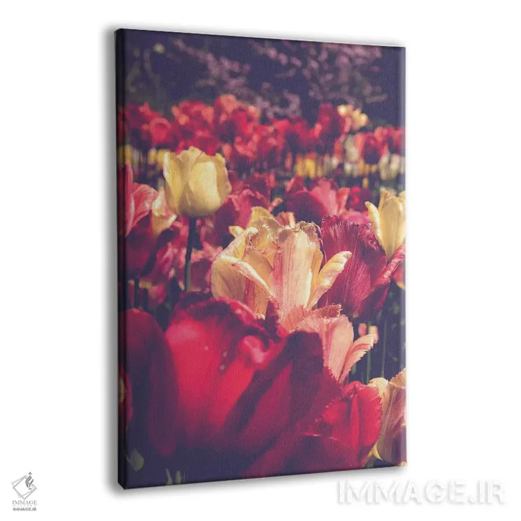 تابلو دکوراتیو عشق لاله ها اثر اولیویا جوی سنت کلر - نمای پرسپکتیو محصول