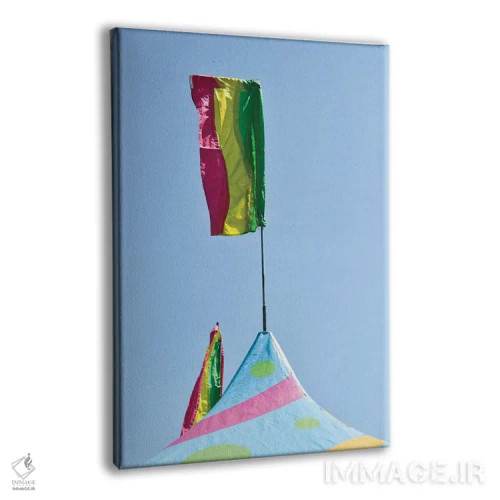 تابلو دکوراتیو کارناوال اثر اولیویا جوی سنت کلر - نمای پرسپکتیو محصول