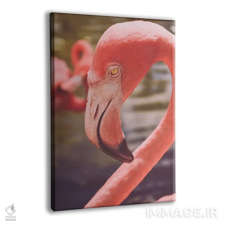 تابلو دکوراتیو عشق فلامینگوها اثر اولیویا جوی سنت کلر - نمای پرسپکتیو محصول