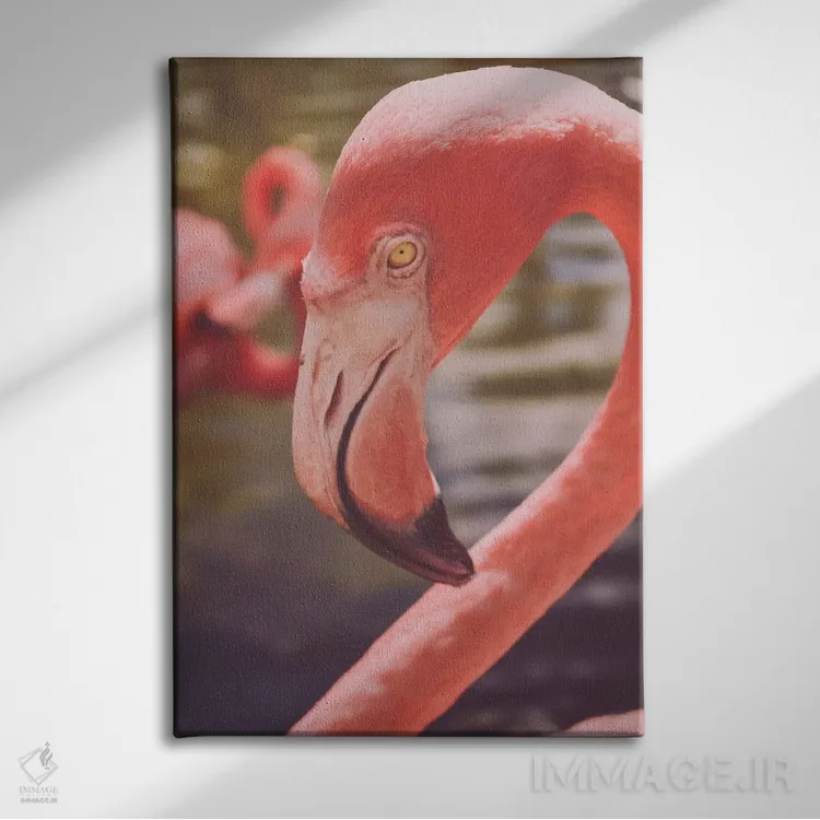 تابلو دکوراتیو عشق فلامینگوها اثر اولیویا جوی سنت کلر - نمای روبهرو روی دیوار