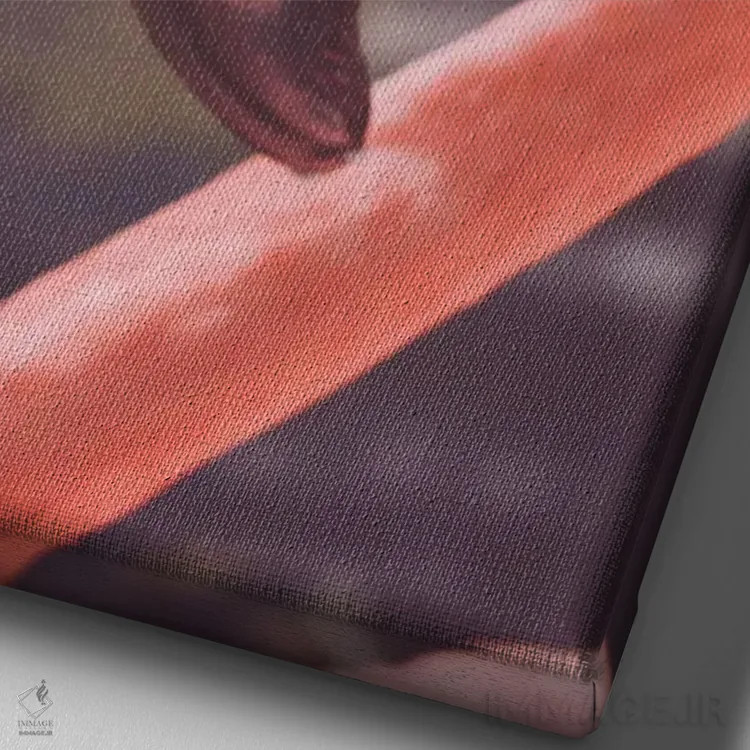 تابلو دکوراتیو عشق فلامینگوها اثر اولیویا جوی سنت کلر - نمای نزدیک بافت بوم