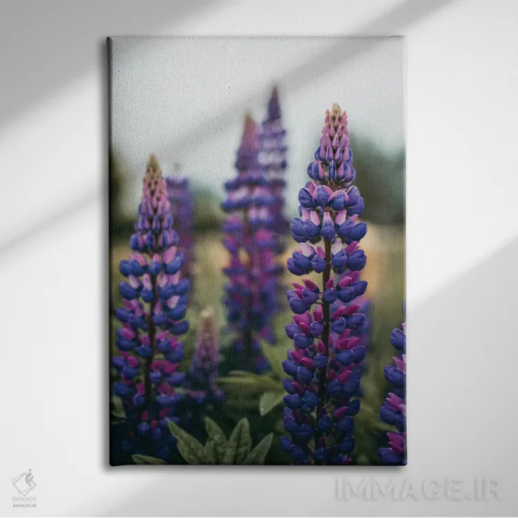 تابلو دکوراتیو گل های لوپین در چمنزار بهاری LI اثر اولیویا جوی سنت کلر - نمای روبهرو روی دیوار
