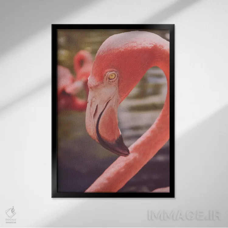تابلو دکوراتیو عشق فلامینگوها اثر اولیویا جوی سنت کلر - نمای قابدار مشکی