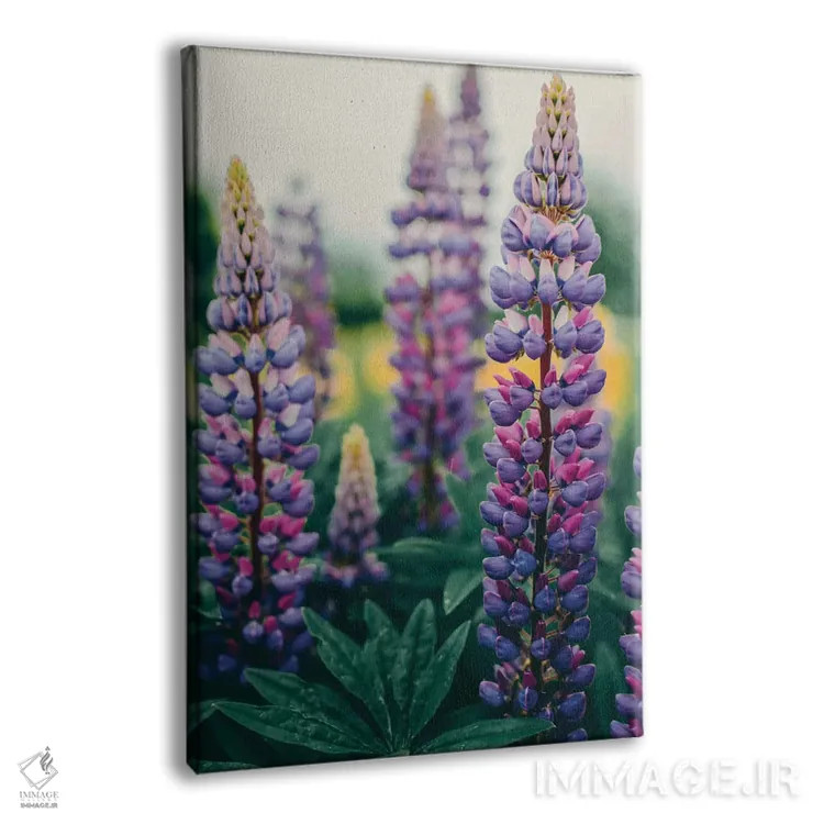 تابلو دکوراتیو گل های لوپین در چمنزار بهاری اثر اولیویا جوی سنت کلر - نمای پرسپکتیو محصول
