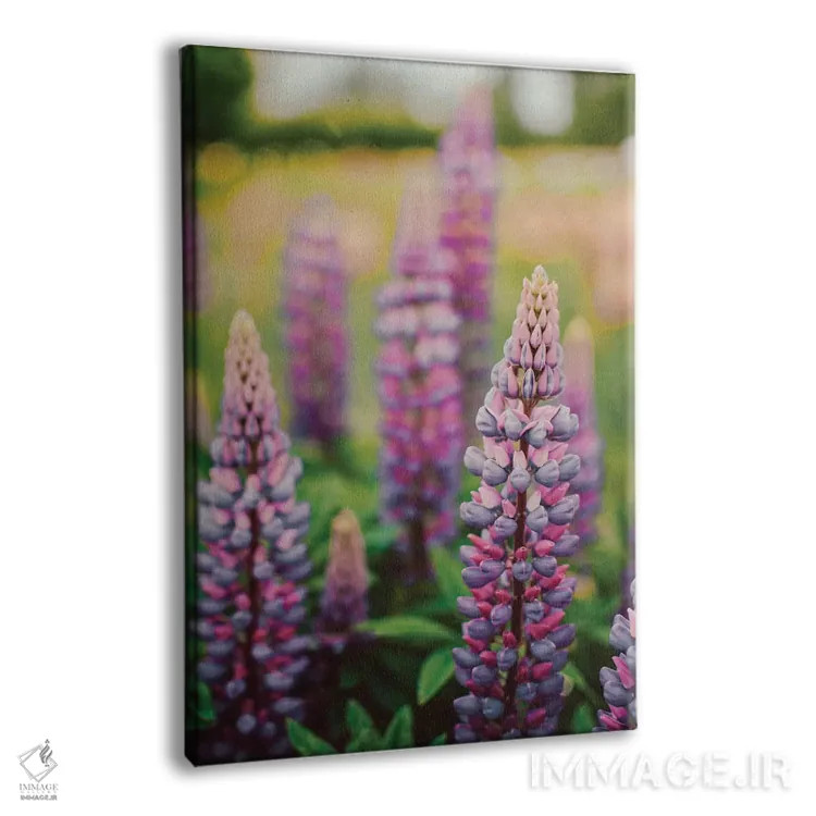 تابلو دکوراتیو گل های لوپین در چمنزار بهاری LII اثر اولیویا جوی سنت کلر - نمای پرسپکتیو محصول