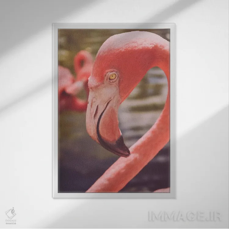 تابلو دکوراتیو عشق فلامینگوها اثر اولیویا جوی سنت کلر - نمای قابدار سفید