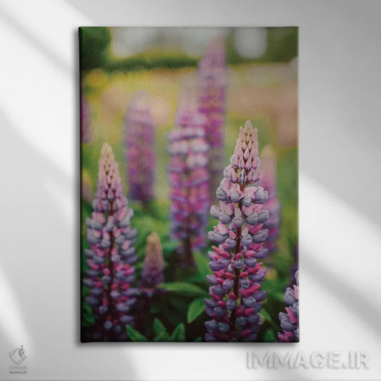 تابلو دکوراتیو گل های لوپین در چمنزار بهاری LII اثر اولیویا جوی سنت کلر - نمای روبهرو روی دیوار