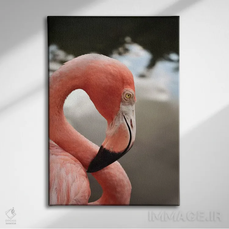 تابلو دکوراتیو فلامینگوی صورتی اثر اولیویا جوی سنت کلر - نمای روبهرو روی دیوار