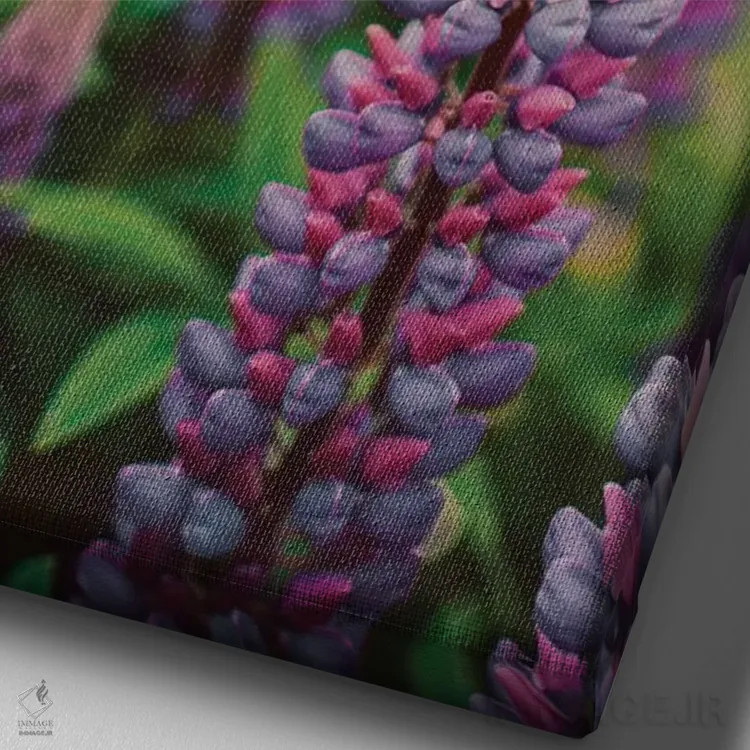 تابلو دکوراتیو گل های لوپین در چمنزار بهاری LII اثر اولیویا جوی سنت کلر - نمای نزدیک بافت بوم