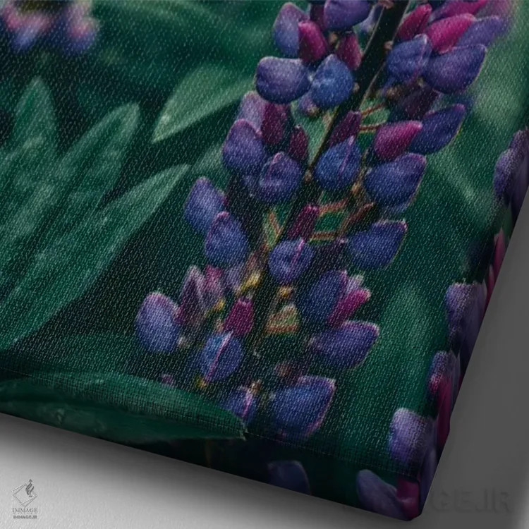 تابلو دکوراتیو گل های لوپین در چمنزار بهاری اثر اولیویا جوی سنت کلر - نمای نزدیک بافت بوم