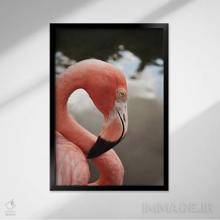 تابلو دکوراتیو فلامینگوی صورتی اثر اولیویا جوی سنت کلر - نمای قابدار مشکی