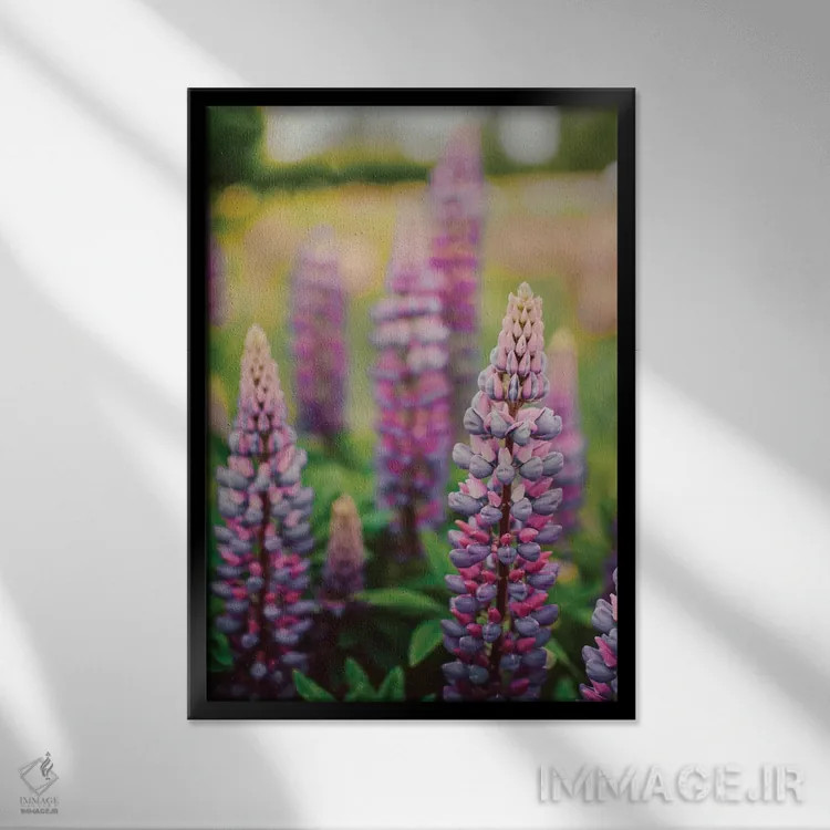 تابلو دکوراتیو گل های لوپین در چمنزار بهاری LII اثر اولیویا جوی سنت کلر - نمای قابدار مشکی