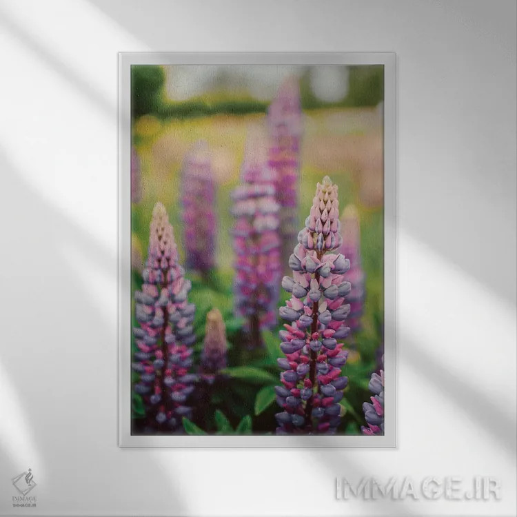 تابلو دکوراتیو گل های لوپین در چمنزار بهاری LII اثر اولیویا جوی سنت کلر - نمای قابدار سفید