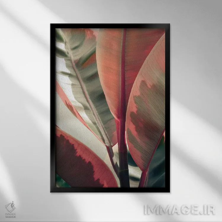 تابلو دکوراتیو برگ های زیبا اثر اولیویا جوی سنت کلر - نمای قابدار مشکی