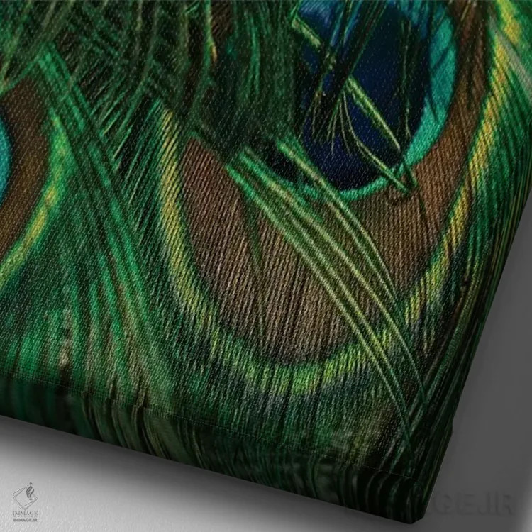 تابلو دکوراتیو درخشان و رنگین تاب اثر اولیویا جوی سنت کلر - نمای نزدیک بافت بوم