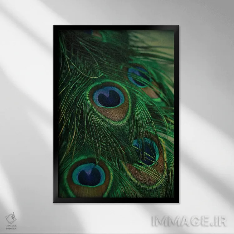 تابلو دکوراتیو درخشان و رنگین تاب اثر اولیویا جوی سنت کلر - نمای قابدار مشکی