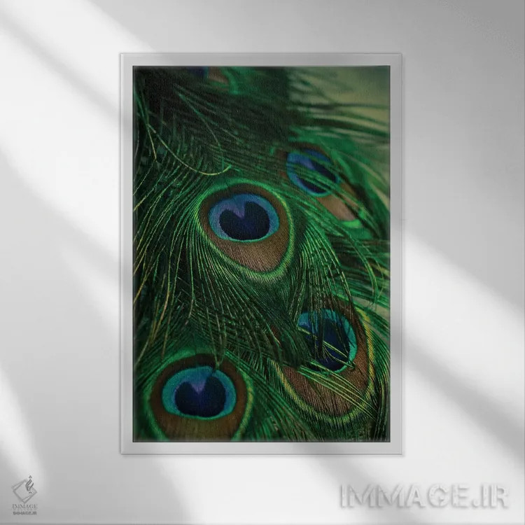 تابلو دکوراتیو درخشان و رنگین تاب اثر اولیویا جوی سنت کلر - نمای قابدار سفید