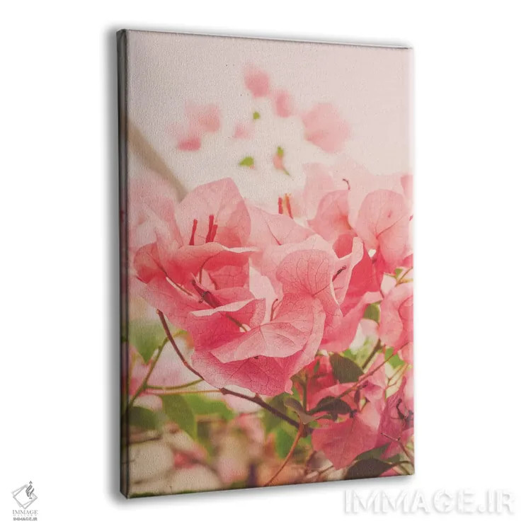 تابلو دکوراتیو صبح آرام در تراس اثر اولیویا جوی سنت کلر - نمای پرسپکتیو محصول