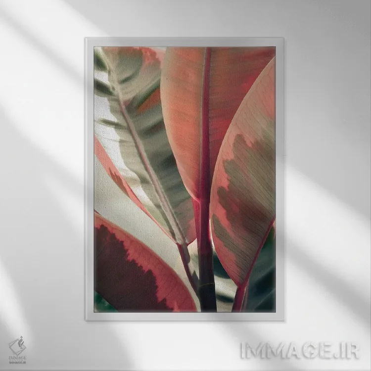 تابلو دکوراتیو برگ های زیبا اثر اولیویا جوی سنت کلر - نمای قابدار سفید