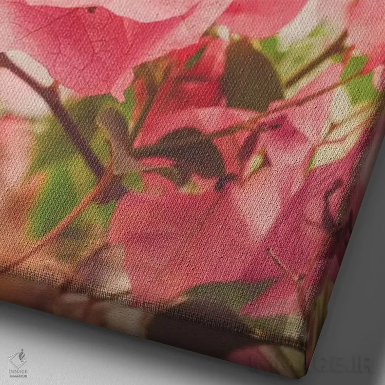 تابلو دکوراتیو صبح آرام در تراس اثر اولیویا جوی سنت کلر - نمای نزدیک بافت بوم