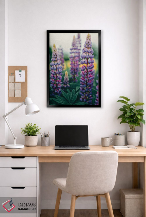 تابلو دکوراتیو گل های لوپین در چمنزار بهاری اثر اولیویا جوی سنت کلر - D6B