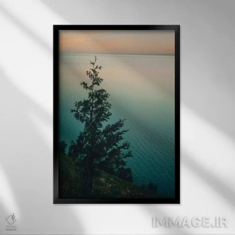 تابلو دکوراتیو تنها اثر اولیویا جوی سنت کلر - نمای قابدار مشکی