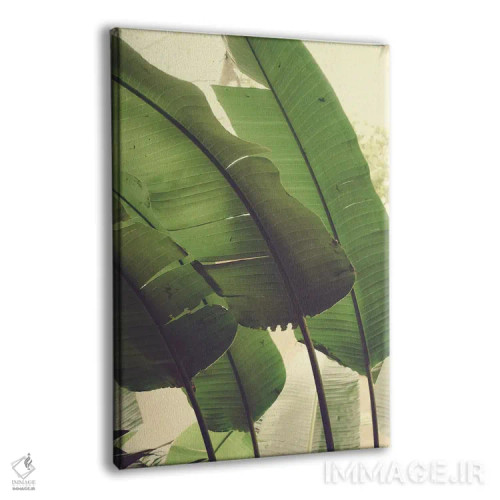 تابلو دکوراتیو هماهنگ اثر اولیویا جوی سنت کلر - نمای پرسپکتیو محصول