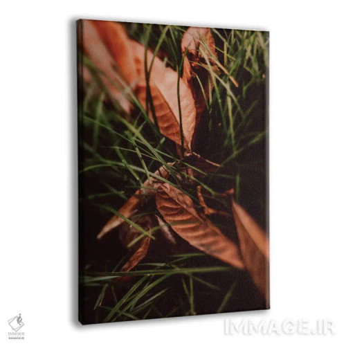 تابلو دکوراتیو پناه اثر اولیویا جوی سنت کلر - نمای پرسپکتیو محصول