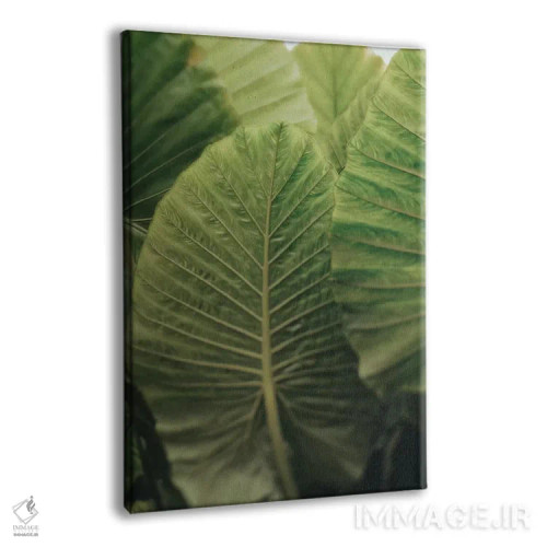 تابلو دکوراتیو در لحظه باش اثر اولیویا جوی سنت کلر - نمای پرسپکتیو محصول