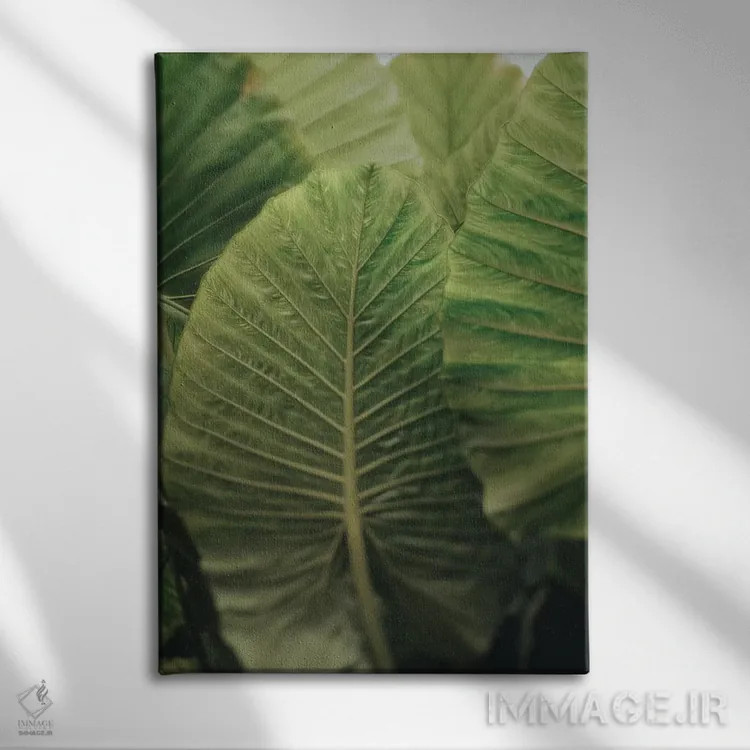 تابلو دکوراتیو در لحظه باش اثر اولیویا جوی سنت کلر - نمای روبهرو روی دیوار