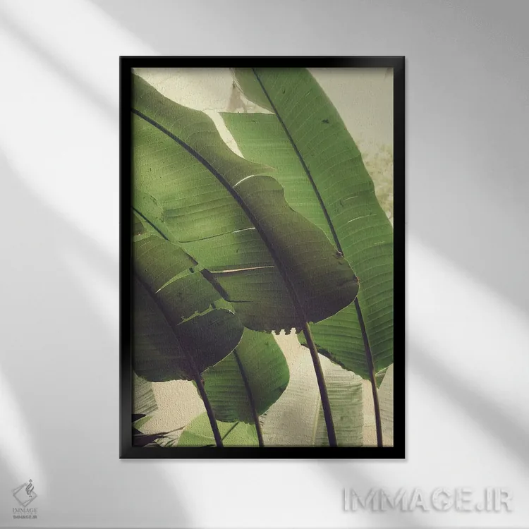 تابلو دکوراتیو هماهنگ اثر اولیویا جوی سنت کلر - نمای قابدار مشکی