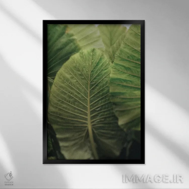 تابلو دکوراتیو در لحظه باش اثر اولیویا جوی سنت کلر - نمای قابدار مشکی