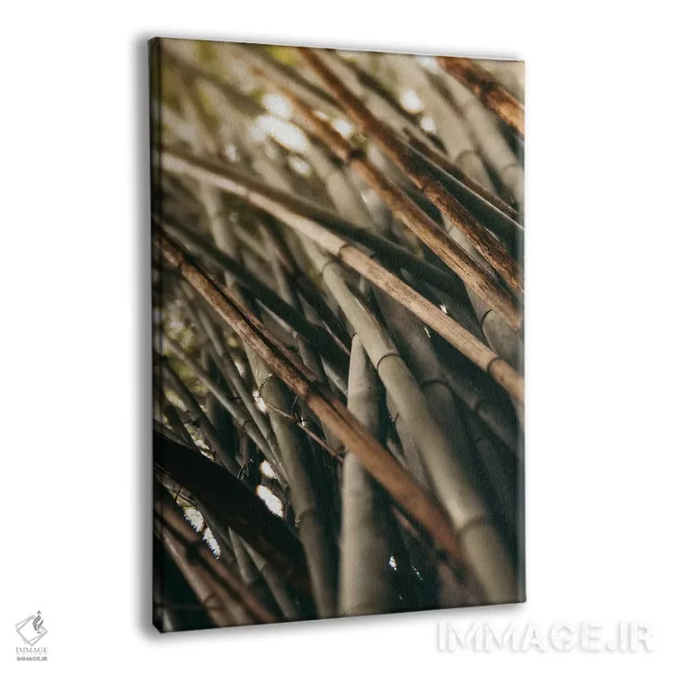 تابلو مینیمال مطالعه بامبو L اثر اولیویا جوی سنت کلر - نمای پرسپکتیو محصول