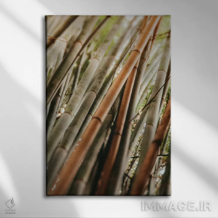 تابلو مینیمال مطالعه بامبو LI اثر اولیویا جوی سنت کلر - نمای روبهرو روی دیوار