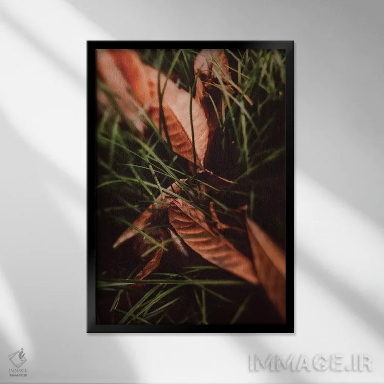 تابلو دکوراتیو پناه اثر اولیویا جوی سنت کلر - نمای قابدار مشکی