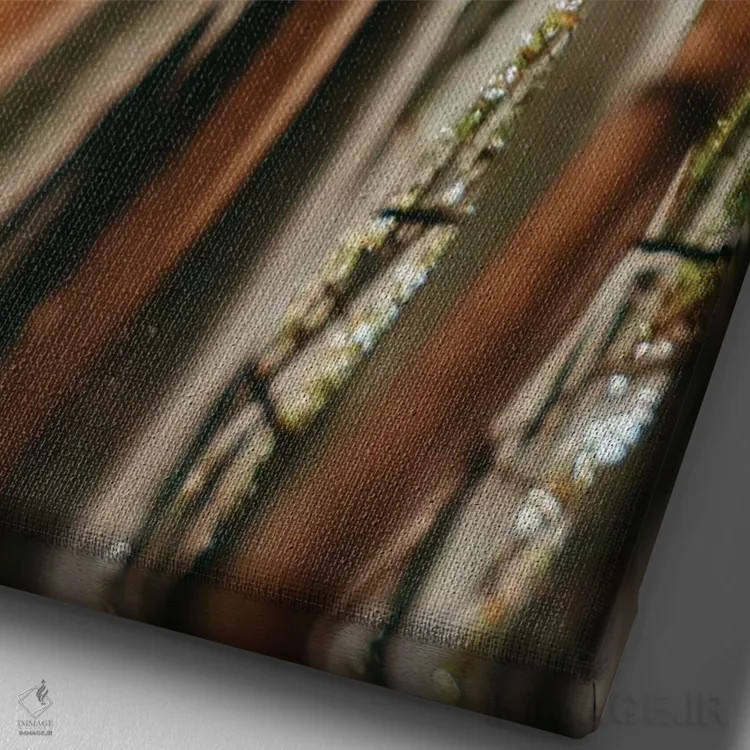 تابلو مینیمال مطالعه بامبو LI اثر اولیویا جوی سنت کلر - نمای نزدیک بافت بوم