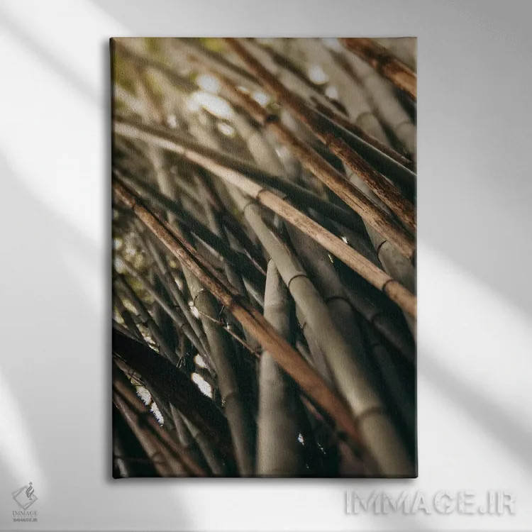 تابلو مینیمال مطالعه بامبو L اثر اولیویا جوی سنت کلر - نمای روبهرو روی دیوار