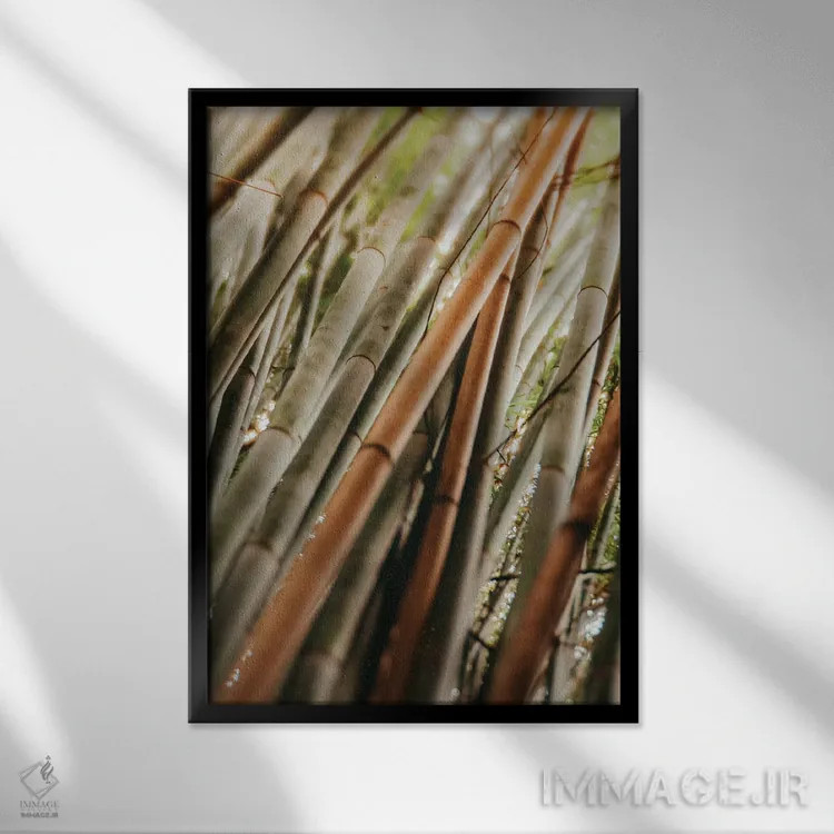 تابلو مینیمال مطالعه بامبو LI اثر اولیویا جوی سنت کلر - نمای قابدار مشکی