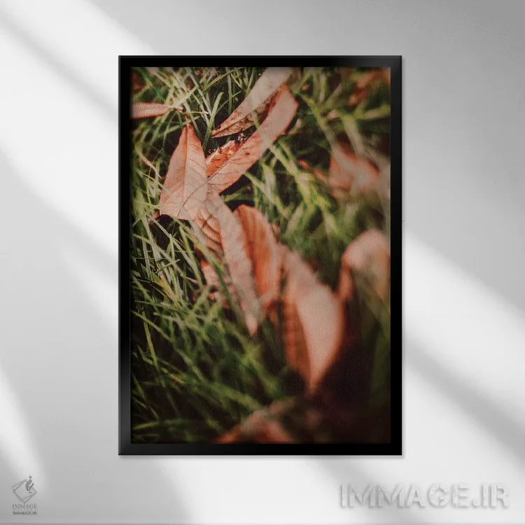 تابلو دکوراتیو در یک صف اثر اولیویا جوی سنت کلر - نمای قابدار مشکی